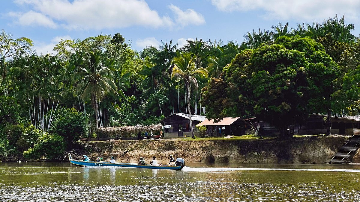 Illustration - Maroni asséché, conditions de vie dégradées