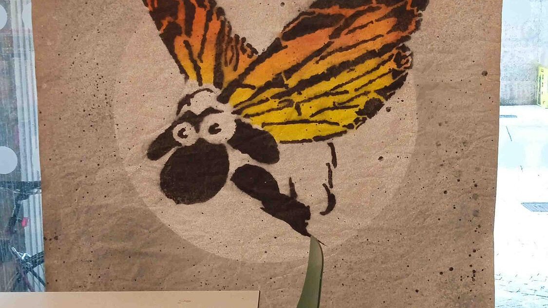 Illustration - La préfecture en guerre contre les moutons volants !