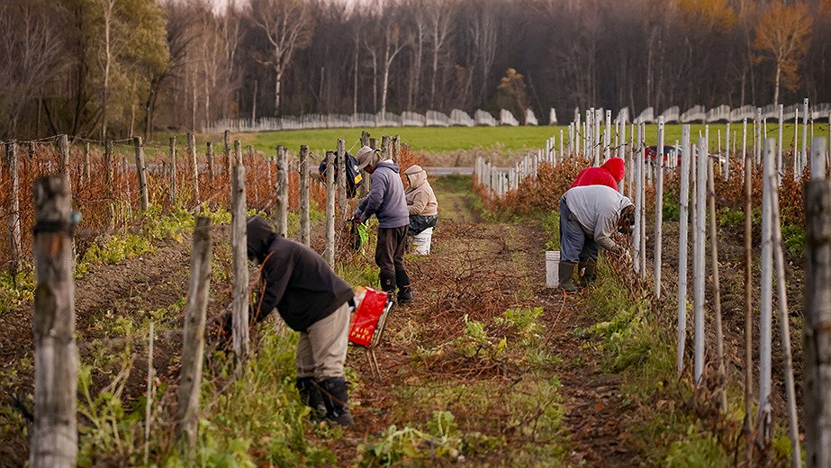 Illustration - Exploiteur et expulseur, sans vergogne