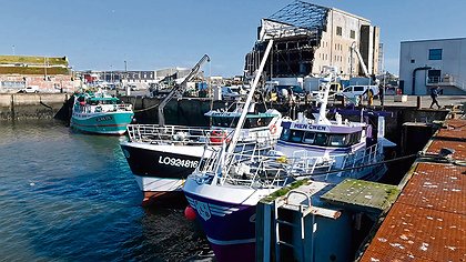 Illustration article