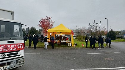 Illustration article